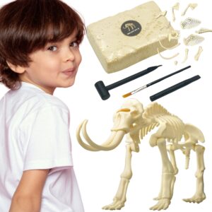 WOOPIE Creative Toy dinosauruse luustiku arheoloogiline väljakaevamine