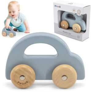 VIGA POLARB PUIDUST AUTO SININE